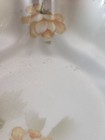 2 Porcelain Plates RS Prussia Vtg Floral Germany Reinhold Schlegelmilch Scallop — photo 7