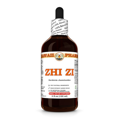 Zhi Zi / Gardenia (Gardenia Jasminoides) Dried Fruit Liquid Herbal Extract