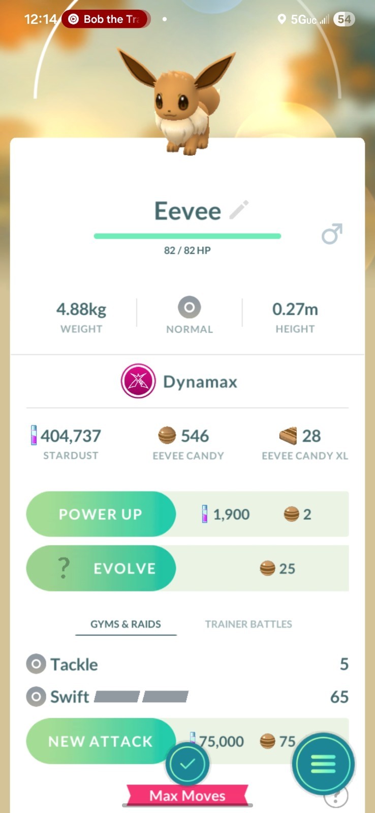 Pokemon DYNAMAX EEVEE GO