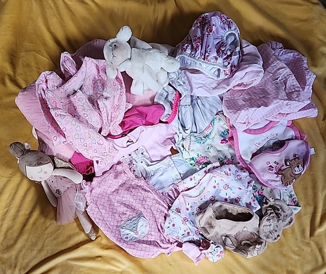 Newborn Baby Girl Lot Blankets Clothing Accessories Toys