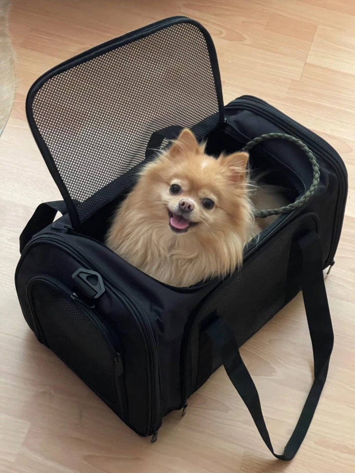 Transporttasche Katze Hund, Faltbare Transportbox, Haustier Tragebox, , leich... - Bild 3 von 4