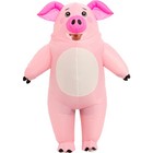 Inflatable Costume Adult,Blow Up Pig Suit,Full Body Animal Halloween Costumes
