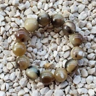 18 MM Genuine Indonesian Buffalo Horn Handmade Bracelet 13 Beads #08