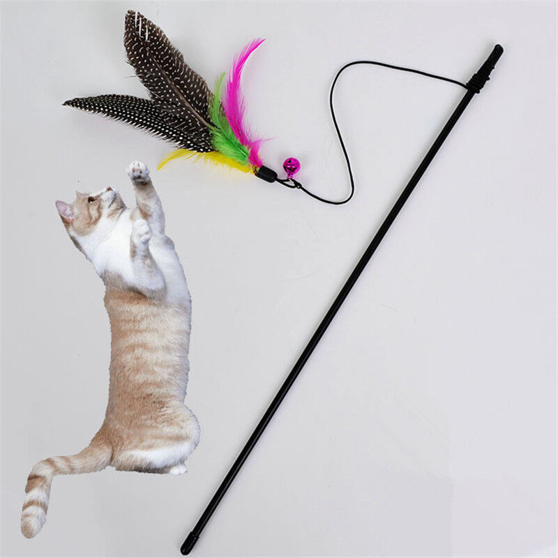 Pet cat toy cute bird colorful feather teaser wand plastic toy for cats YF