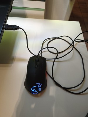 Roccat Maus Gaming  Mit Kabel