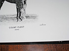11 X 14-Original 1943 Kentucky Derby Winner "Count Fleet" Caufield & Shook, Inc. — photo 2