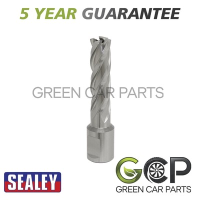 Sealey Worksafe �� 15 mm HSS Mag Bohrer Schnitttiefe 50 mm RBHSS15L
