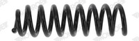 Monroe SP4882 Federungsfeder Hinten L/R Passt Zu: Mercedes Cls (C257), E (A238),