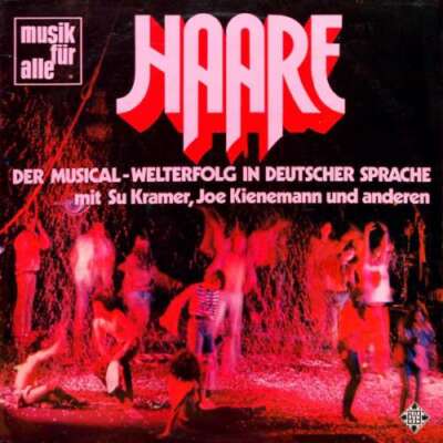 Die Matadors* Mit Su Kramer, Joe Kienemann Haa LP Album Vinyl Schallplatte 055