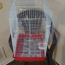 ZuPreem Smart Selects Bird Food for Medium Birds Cockatiels Lovebirds 2 lb