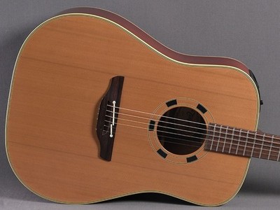 Takamine EN-10