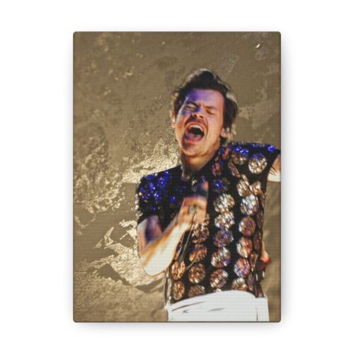 Harry Styles 5x7 Canvas Gallery Wraps by photographer - 第 1/5 張圖片