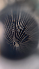 Video 1 of 1