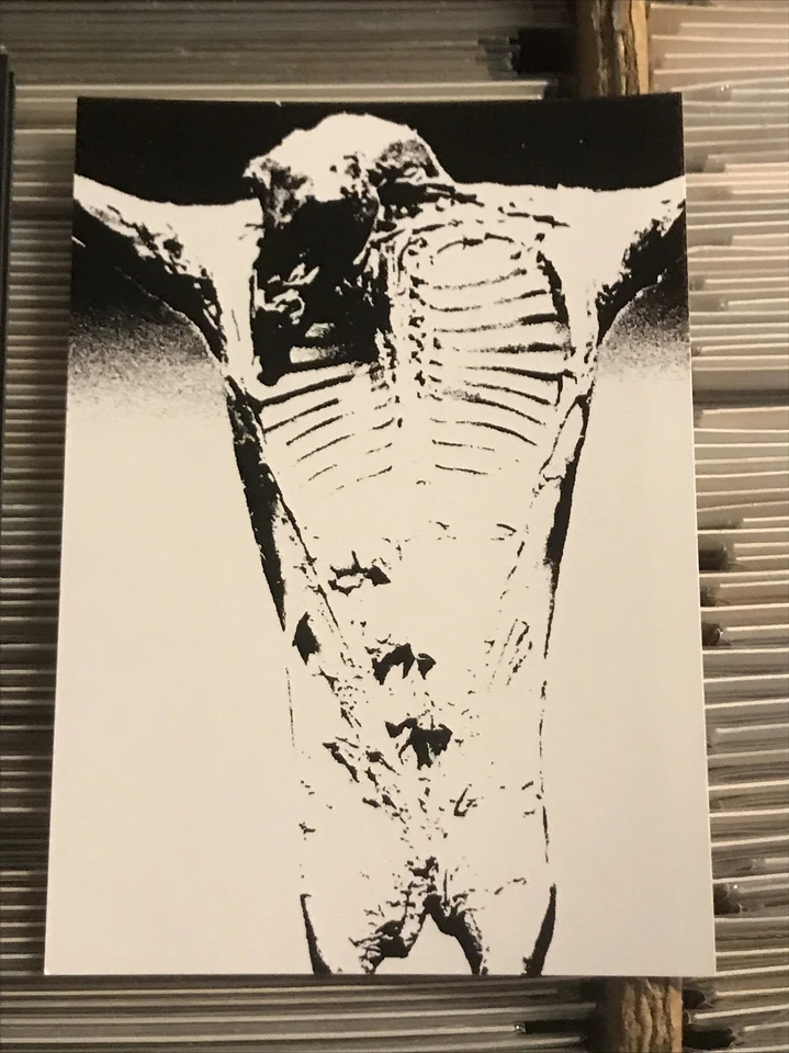 MICHAEL BERDAN ELERGY CASSETTE TAPE UK IMPORT UNIFORM york factory complaint - Image 2 of 4