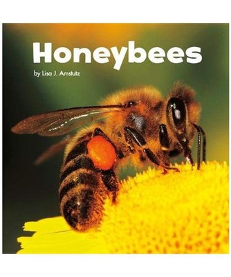 Honeybees, Lisa J. Amstutz