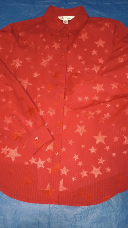 JULY 4 RED STAR BLOUSE~small~ Blast label~collar & long sleeve