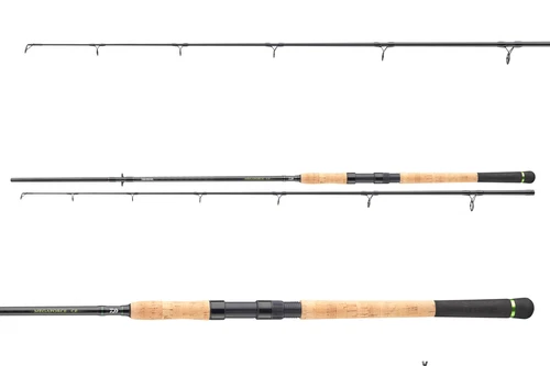 DAIWA Megaforce Catfish, 2 Teile, Wels Angelrute, medium fast