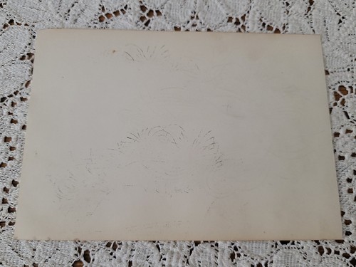 1884 Antique Raymond Simmons Signature Scrollwork Bird Ephemera Greene Co Pa - Picture 5 of 5
