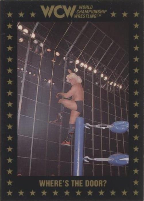 1991 Championship Marketing WCW - Ric Flair #77 - 1 of 1