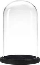 6 x 10 Inches Clear Glass Cloche Bell Jar Display Case w/ Rustic Black Wood Base