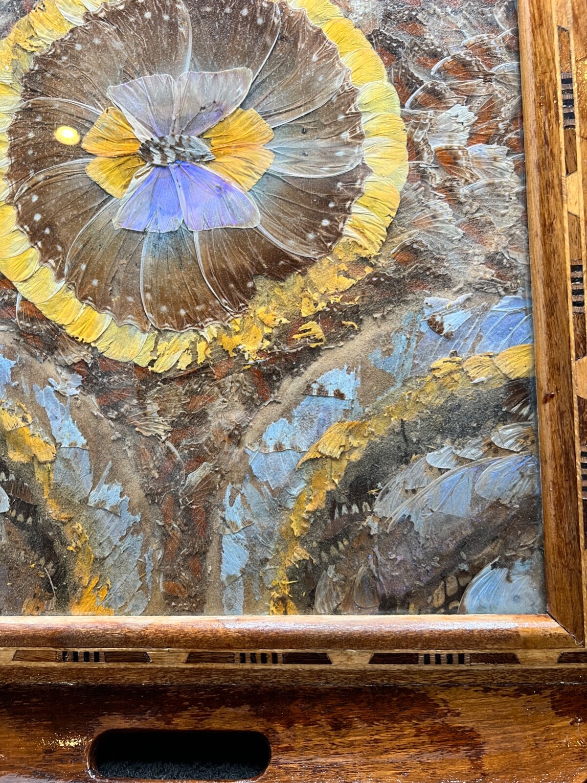 Vintage Brazilian Butterfly Wing Wood Serving Tray String Inlay Brazil ...