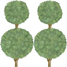 Tatouage Topiaries Dry rub Transfer