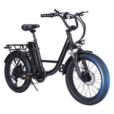 1000W Peak Fat Tire Electric Bike 28MPH 48V 15Ah Long Range Step Through E-Bike