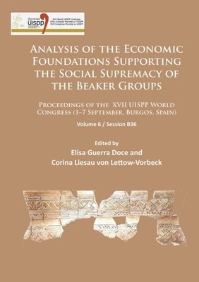 Analysis of the Economic Foundations Supporting  by Elisa Guerra Doce PAPERBACK