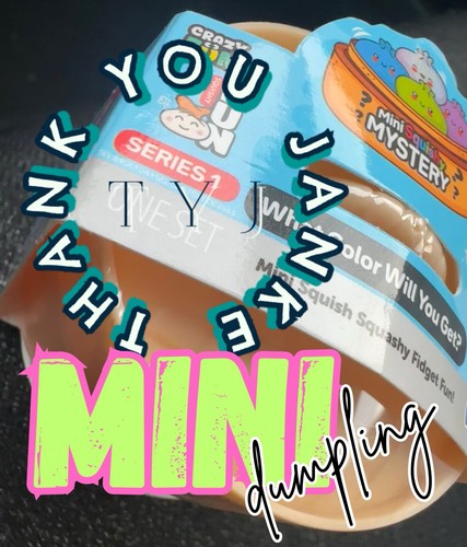 What Is The Rarest Mini Metallic Rms Dumpling Mini Dumpling CRAZY FUN RMS MINI SQUISHY Bun MYSTERY DUMPLING Rare ...