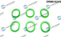 Dr.Motor Automotive DRM01631S Dichtungssatz, AnsaugkrüMmer FüR MERCEDES-BENZ