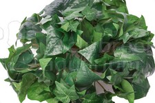 Repta Vine 6' Terrarium Silk Like Plant Red, Purple Coleus, Pothos, Ivy 6 ft