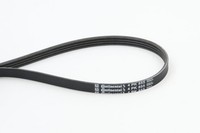 NEU - Continental Ctam 4PK855 Keilrippenriemen FüR Audi BMW CitroËN Hyundai VW