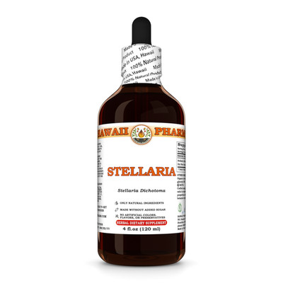 Stellaria (Stellaria Dichotoma) Dried Root Liquid Herbal Extract