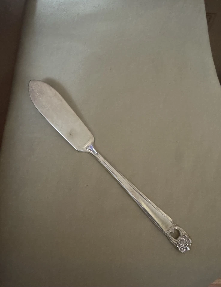 49 Pc Eternally Yours 1847 Rogers Silver Plate Flatware Set w/ Box Service for 8 - Image 3 of 4