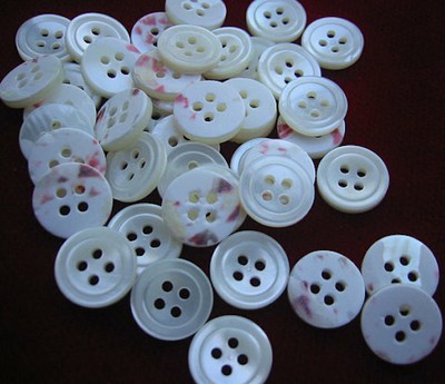 Beautiful /"Real/" Japanese Trocas Oyster Shell Ivory White 20mm 25mm 4 hole