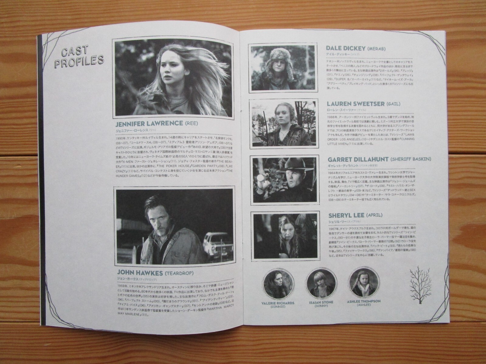 Film Winter S Bone Debra Granik Movie Program Japanese F S Ebay