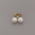 Brand New Genuine Freshwater 6mm Pearl on 9ct Yellow Gold Stud Earrings - 375 9k
