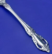 Oneida RAPHAEL Stainless Distinction Deluxe Glossy Silverware CHOICE Flatware