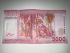 🇨🇱Chile 5000 Pesos 2021 Banknote Polymer World Currency Collection Bill P-163h
