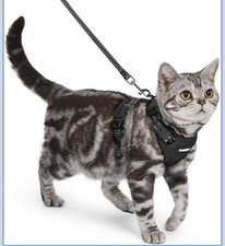 rabbitgoo CatHarness & Lead Reflective Adjustable Escape Proof Vest Breathable M