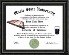 Dulcimer Lover's Doctorate Diploma / Degree Custom Made & Designed for You