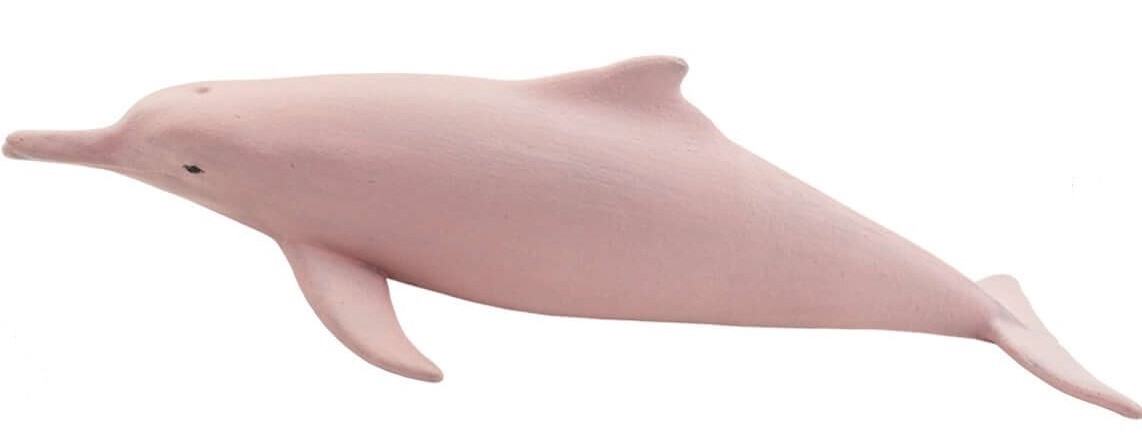 小物 Dolphinsohp Amazon.com: Safari Ltd. Bottlenose Dolphin Figurine