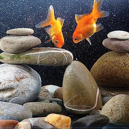 20lbs-natural-river-rocks-1-2-premium-pebbles-for-garden-20-pounds-1