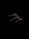 3d Printed Montana Deer Replica #289# — photo 2