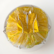 Sequin Bodysuit homemade by quality seamstress, tutu by Great Pretenders Sz. 7/8