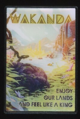 BoxLunch Hero Lands Poster Mystery Wakanda Enjoy Feel Like A King Disney Pin