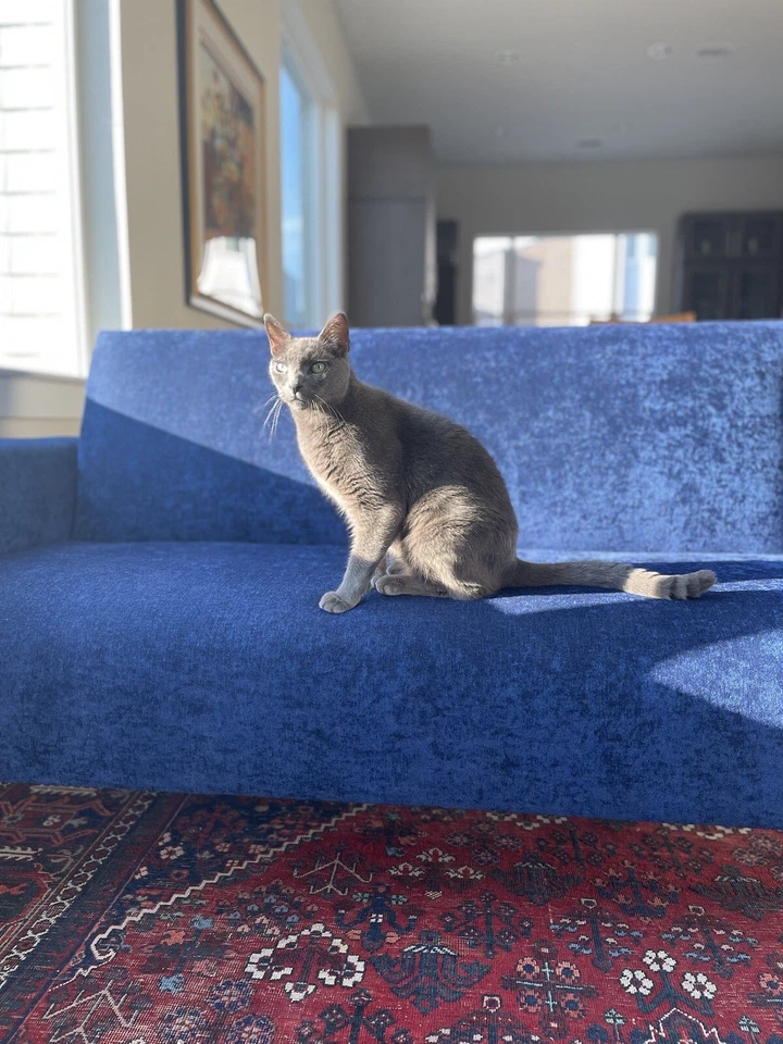 Sofá loveseat Crate and Barrel Foto 4 de 4