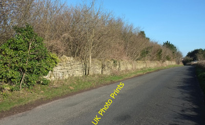Foto 12x8 Combe Hay Lane Odd Down Irgendwo hinter der Mauer und Bäumen auf c2016