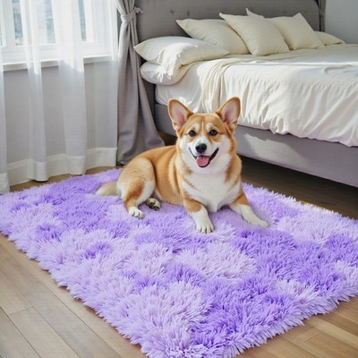 Small Rug Throw Rugs for Bedroom, Mini Area Rug, Fluffy Purple Carpet, Afford...