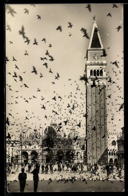 Venezia, Piazza San Marco e volata dei piccioni, Ansichtskarte 